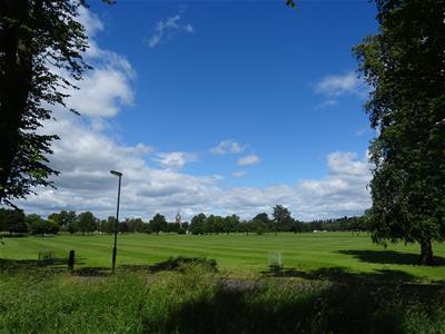 Picture 14